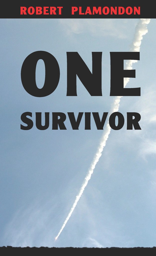 One Survivor book cover